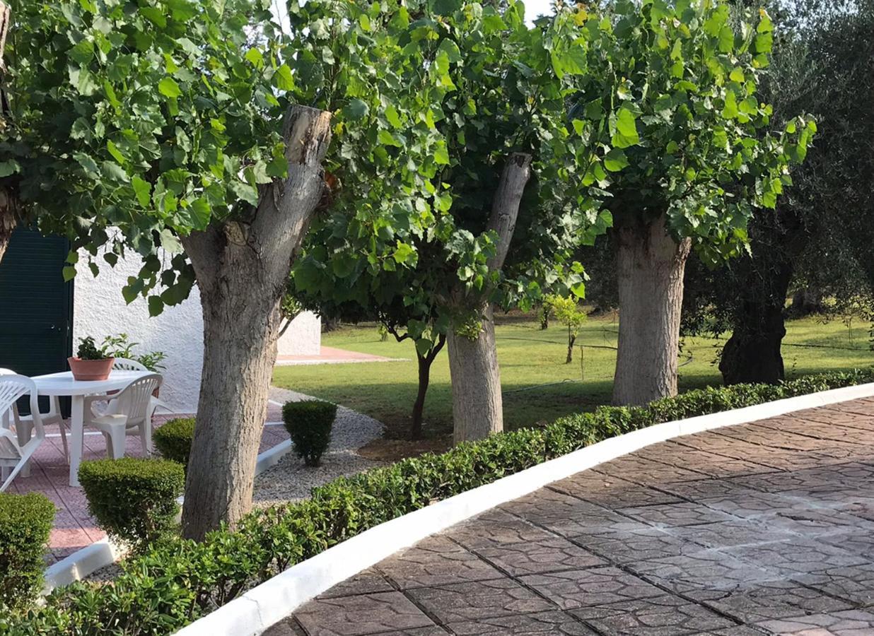 Villa Il Carrubo - Basilicata Pisticci Exterior foto
