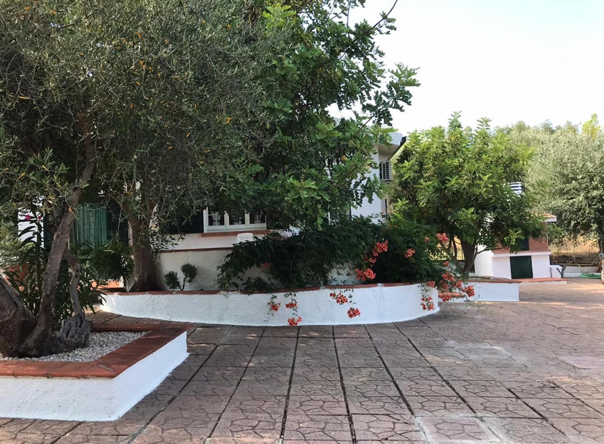 Villa Il Carrubo - Basilicata Pisticci Exterior foto