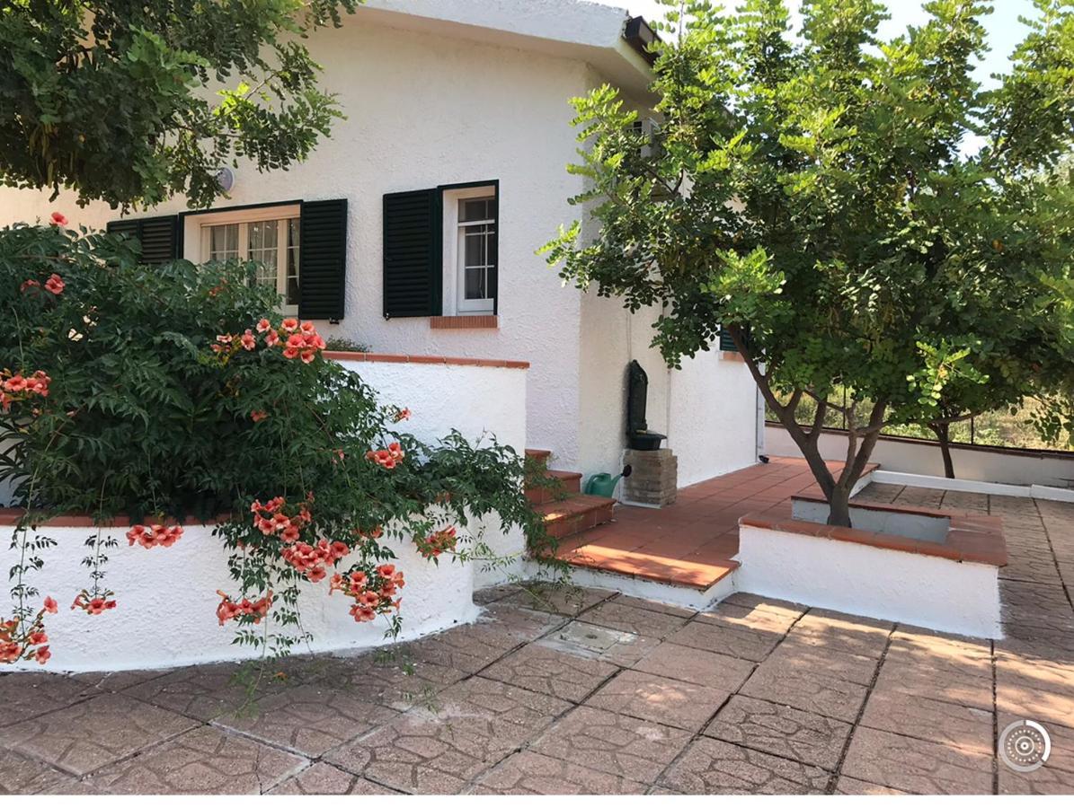 Villa Il Carrubo - Basilicata Pisticci Exterior foto