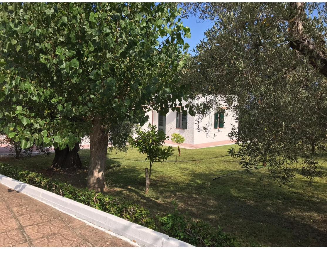 Villa Il Carrubo - Basilicata Pisticci Exterior foto
