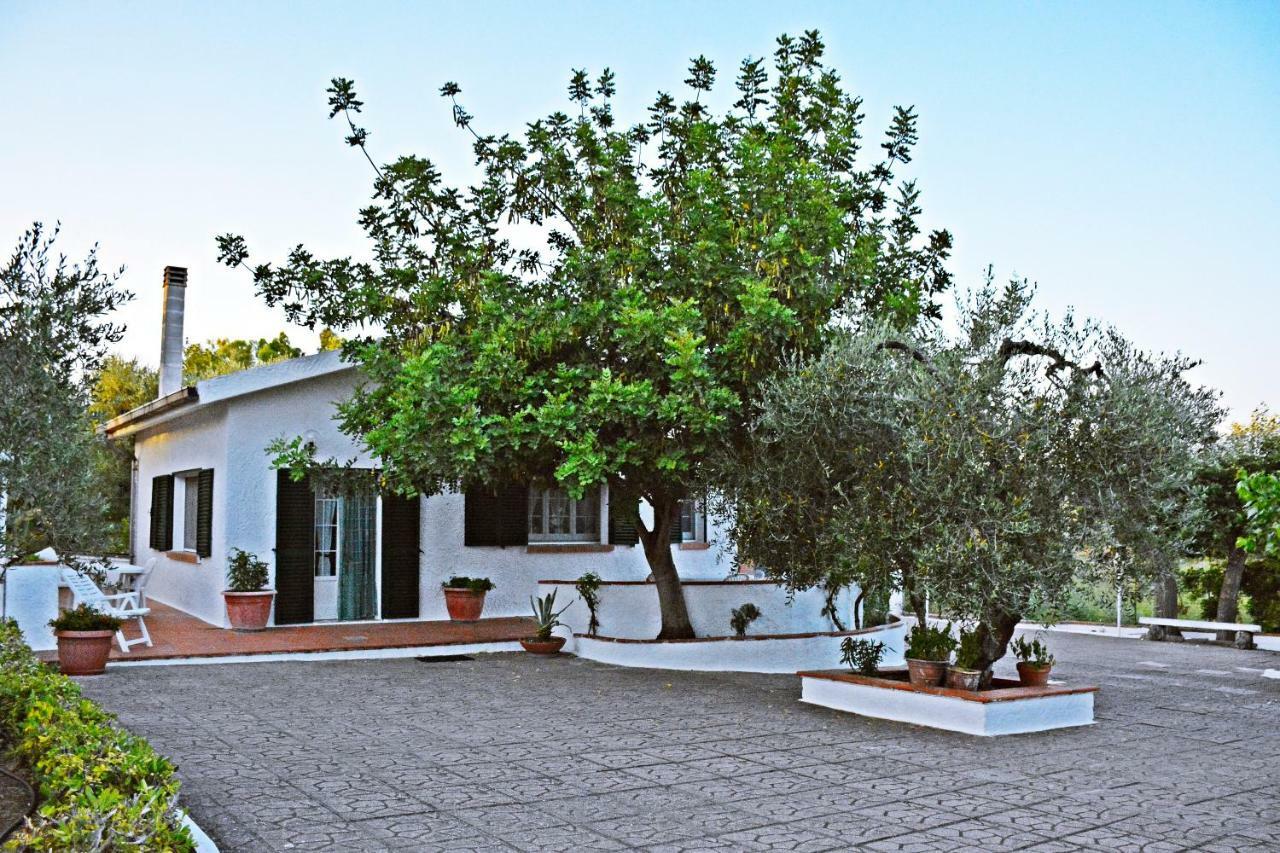 Villa Il Carrubo - Basilicata Pisticci Exterior foto
