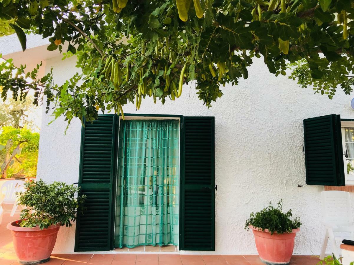 Villa Il Carrubo - Basilicata Pisticci Exterior foto